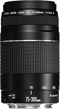 Canon EF 75-300mm f/4-5.6 III Telephoto Zoom Lens for Canon SLR Cameras