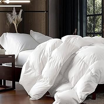 Luxurious Queen Size Goose Down Fiber Waterfowl Feather Fiber Comforter (90"x90"), Fluffy, Ultra Soft, Breathable Comforter Duvet Insert, All Season 48 oz. Fill Weight, Baffle Box Design (White Solid)