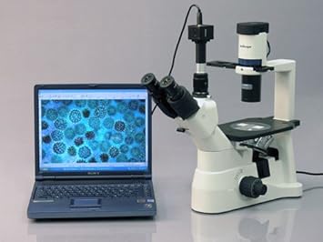 AmScope IN400T-8M Digital Long Working-Distance Inverted Trinocular Microscope, 40x-600x, WH10x Super-Widefield Eyepieces, Brightfield and Phase-Contrast Objectives, 30W Halogen Illumination, 0.3 NA A