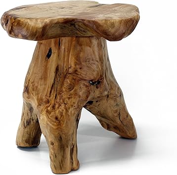 WELLAND Natural Cedar Stump Stool, 14" End Table, Live Edge Side Table, Plant Stand, Small Nightstand, Mushroom Stool for Living Room, Bedroom, Patio, Garden