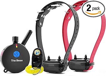 E-Collar ET-802-1 Mile Rechargeable Remote Waterproof Trainer for Two Dogs - Static, Vibration and Sound Stimulation Collar with PetsTEK Dog Training Clicker