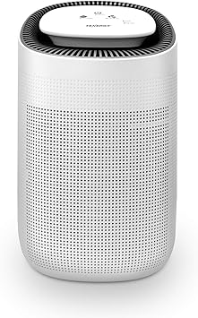 Tenergy Sorbi 1000ml Air Dehumidifier w/Purifying Function, True HEPA Filter, Auto Shutoff, Touch Control Adjustable Air Speed, Ultra-Quiet, Ideal for Closets & Bathrooms