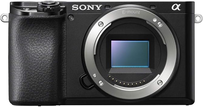 Sony Alpha A6100 Mirrorless Camera, Black