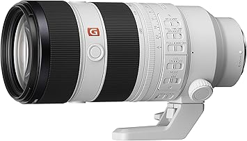 Sony FE 70-200mm F2.8 GM OSS II Full-Frame Constant-Aperture telephoto Zoom G Master Lens (SEL70200GM2), Black and White