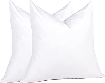 puredown® Euro Pillow Inserts 24 x 24 (Pack of 2, White), Feather Down Pillow Stuffer, White Throw Pillows for Bed, Couch, and Cushion