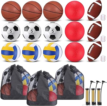 Leyndo 18 Pcs Sport Balls Bulk Set Basketball Football Volleyball Soccer Playground Baseball with Sport Equipment Bag Pump for Adults Gifts Outdoor Indoor
