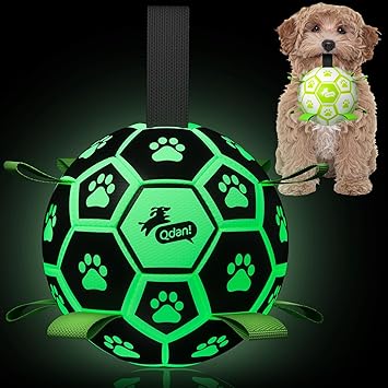 QDAN Premium Glow in The Dark Dog Toys, Dog Ball with Straps, Soccer Ball for Dogs, Outdoor Dog Toys, Pet Birthday Toys, Puppy Essentials for Small to Medium (6Inch)