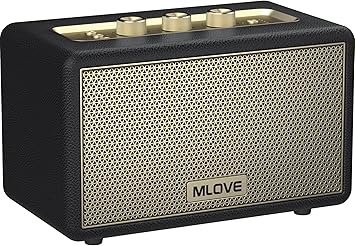 MLOVE A200 Portable Retro Bluetooth Speaker with Aux Input, USB Port, Micro SD Card Slot - Decorative Wireless Bookshelf Speakers Battery Powered, House Warming Gifts for New Home, Black and Gold