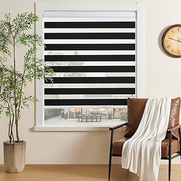 Cordless Zebra Blinds for Windows Free-Stop Zebra Shades Dual Layer Light Filtering Blackout Shades Room Darkening Window Blinds for Home (23" W X 72" H, Black)