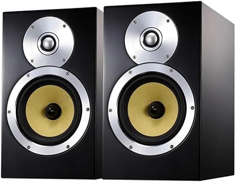 120W 4 Ohm DM5 Wooden Amplifier Speaker Bullet Bass Bookshelf Speaker Preposition HiFi Passive Fever Speaker
