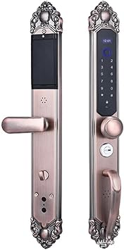 Villa Smart Fingerprint Door Lock Security Password Keyess Entry Double- Folio