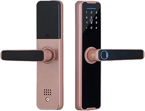 Biometric Fingerprint Lock Electronic Smart Door Remote Keyless Unlocking Control for Doors