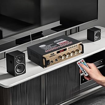 2.0CH Stereo Audio Amplifier Receiver with Active Subwoofer Output,RMS 60W,Max 600W,Home Audio Amplifier,Bluetooth 5.0 HiFi Amp Echo/MIC/USB/SD/AUX/FM for Karaoke-BT-198E