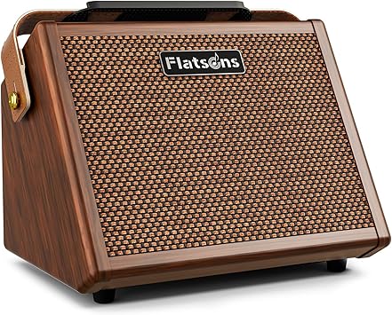 Flatsons Crush20 Acoustic Guitar Amp, 20W Mic/Guitar Amplifier with Reverb, 2-Band EQ, Rechargeable 8H Battery Life, Advanced Dual-chip Wireless Portable Speaker for 6.35mm Microphone/Acoustic Guitars