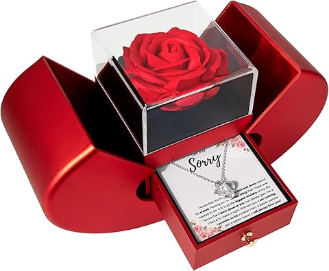 FG Family Gift Mall Im Sorry Gifts For Her, Apology Gifts For Her, I Love You I'm Sorry Gift, Giant Sorry Forgiveness Necklace with Message Card and Gift Box