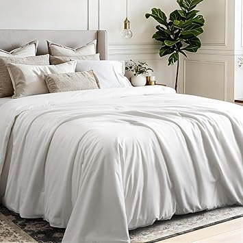 COHOME Queen 100% Mulberry Silk Quilt Duvet Insert - 200gsm Spring & Autumn Cooling Comforter, Luxury Long-Staple Cotton Bedding, Breathable, Skin-Friendly, 8 Corner Ties,White (Lightweight),88"x88"