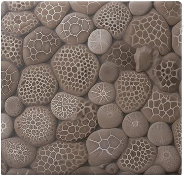 Petoskey Stone Stool Cushion,Memory Foam Square Floor Cushions Floor Pillow for Adults Non Slip Seat Cushion with Removable Cover Washable Chair Pads for Kitchen, Office, Car