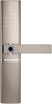 Recognition Smart Door Lock Digital with Remote(Gray)