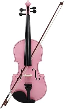 Violin 4/4 Maple Panel Gift For Beginners Lovely Present Suitable Music Course